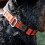 Carhartt Carhartt Tradesman Collar 4
