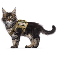 Arn?s t?ctico para Gatos para Caminar a Prueba de Escapes, arn?s de Chaleco Ajustable de Malla Suave para Gatos Grandes, Perros peque?os