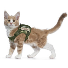 Arn?s t?ctico para Gatos para Caminar a Prueba de Escapes, arn?s de Malla Suave Ajustable para Mascotas para Gatos Grandes y Perros peque?os (L, Verde