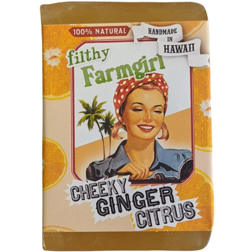 Cheeky Ginger Citrus BAR SOAP Orange Grapefruit Lemon Ginger