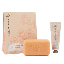Pre de Provence Gift Set Includes 150 Gram Soap Bar & 1 fl oz Hand Cream |Made in France | Infused with Shea Butter Persimmon