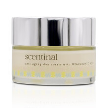 Cream de zi anti -mbatrnire scentinala urbana cu acid hialuronic - stralucire de toata ziua Hidration pentru pielea radianta tinereasca - 50 ml