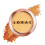LORAC LORAC Light Source Mega Beam Highlighter Poeder Shimmer Highlighter Gouden Glans 1