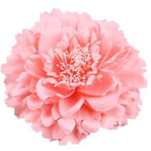 Haarbloemclips Broche Boutique Haaraccessoires Bohemen Haarspelden voor dames Meisjes (roze) 1 stuk (pak van 1)