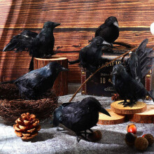 6PCS Black Lifesize Raven Film Prop Fake Crow Halloween Jagd Dekor Vögel