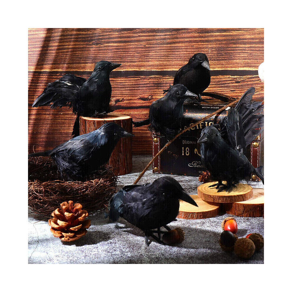 6PCS Black Lifesize Raven Movie Prop Fake Crow Halloween Hunting Decor Birds