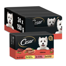 Cesar Cibo umido per cani, selezione di classici in pat?, confezione da 3 x 8 x 150 g