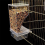 White Bird Feeders Automatic Parrot Feeder Drinker Seed Food Container Κλουβί για μικρούς και μεσαίους παπαγάλους 8