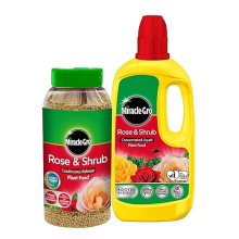 Miracle Grow Rose Feed Fertiliser - Bundle of Rose & Shrub 900g