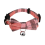 E-Cute κολάρο γάτας Small Puppy Dog Collars Bow Kitten Bowknot κολιέ με κουδούνι για 2