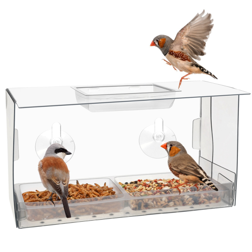 Arlmont & Co. Mangeoire d'oiseaux pour fenêtre à l'extérieur, mangeoires d'oiseaux transparentes
