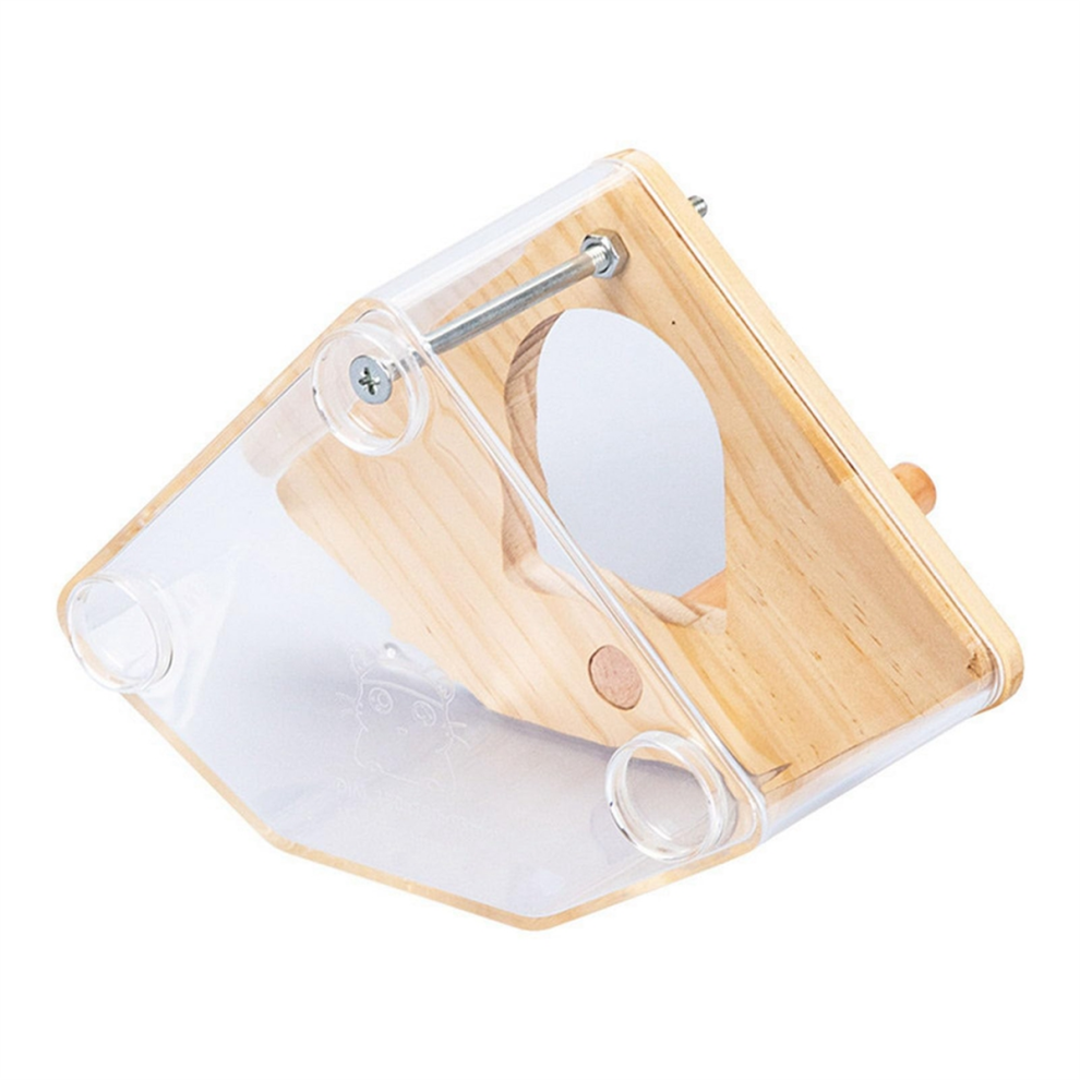 Cage d'élevage d'intérieur transparente, abri pour oiseaux, nid en bois + perchoir, installation facile, nichoir suspendu pour D