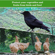 (4*10m/13.12''*32.81ft) 1pc, Green Bird Proof Net Vegetable and Fruit Bird Proof Net Insect Proof Net, Grape Protection Net Fish Pond Cover