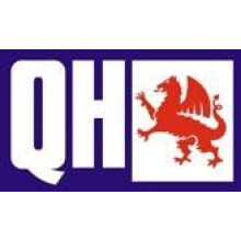 Quinton Hazell Brake Disc/Rotor | Single Disc | Rear | 5 Bolt Holes | Solid | BDC5423