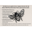 Sanctuary Spa Deluxe Wall Mount Bee Solar 40cm Light Up Decoration 3