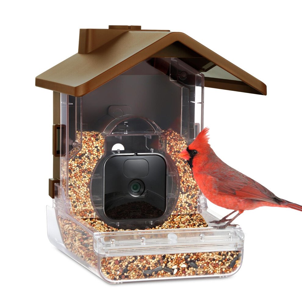 Wasserstein Bird Feeder Camera Case Compatible with Blink  Wyze & Ring Security Cameras Including Blink Outdoor 4  Wyze Cam OG & Ring Stick Up Camera