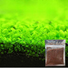 (Small Fine Leaves)Easy to Grow Aquarium Ornament Plant Seeds for Fish Tank Landscape Decoration