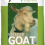 Fancy Feeds Molassed Goat Mix For Small Animals, 20 kg 4