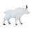 Papo - Figurine Ziegenbock aus Kanada 6
