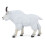 Papo - Figurine Ziegenbock aus Kanada 2