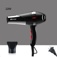 (Black) High Black Highpower Wind Speed Hair Salon Style Fashionable 220v110v Home