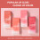 12PCS Matte Lipstick 13