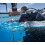 Suunto (Wild Berry) Suunto Zoop Novo Dive Computer (Nitrox-Capable) 12