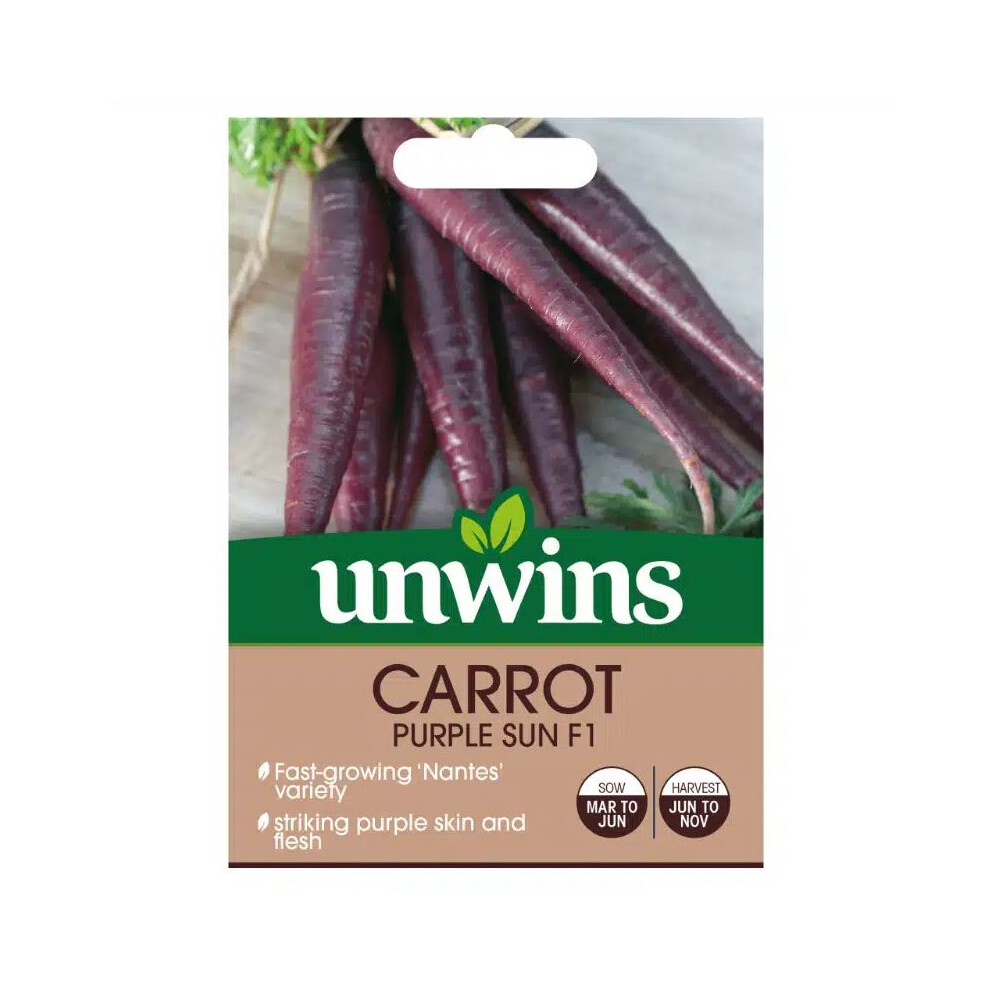 Westland Unwins Carrot Sun F1 Seeds Purple