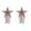 (A22)Tassel Nipple Paste Cover Sequin Stickers Linrie Patch Intimates Nipple 3