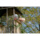 EXIT TOYS EXIT Panorama 500 wooden playhouse with slide and sandpit 8