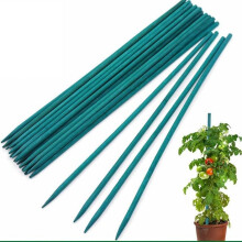 (75cm) Garden Stakes 50 Pack Bamboo Sticks Plant Support Green Wooden Canes Gardening
