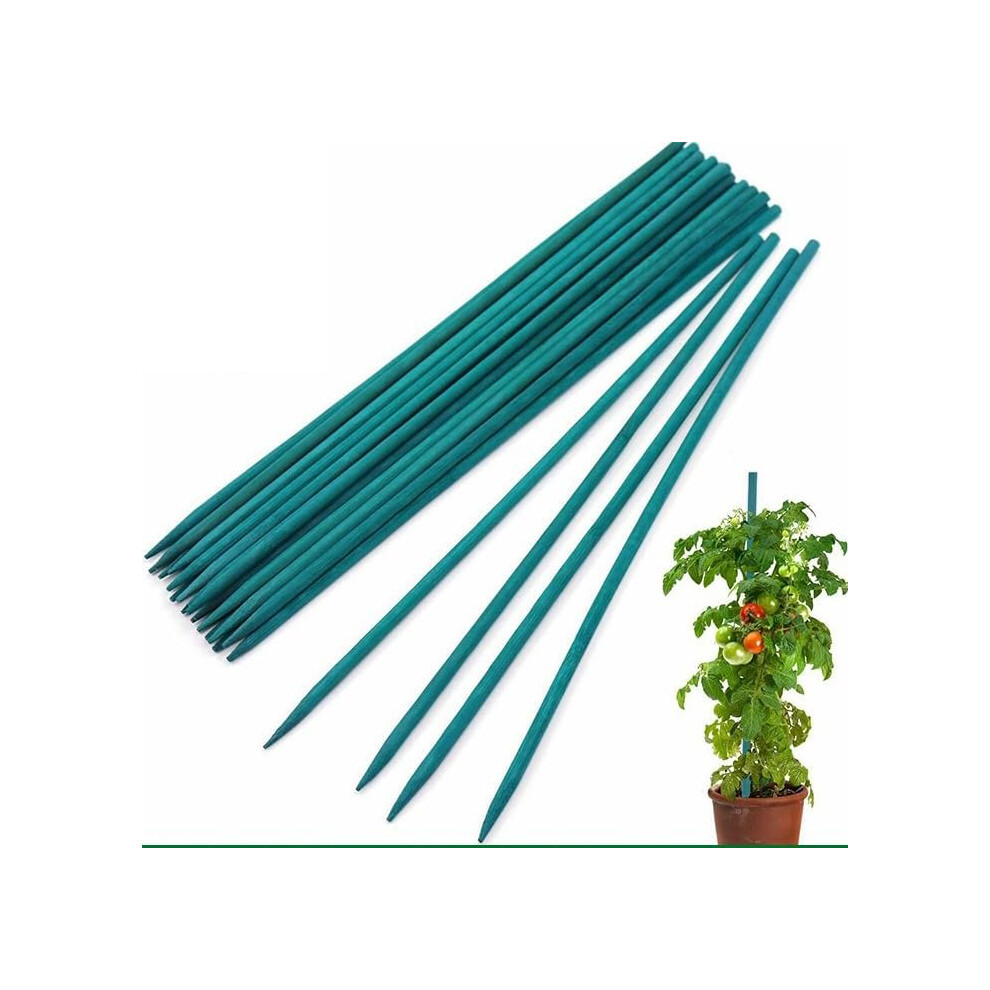 (45cm) Garden Stakes 50 Pack Bamboo Sticks Plant Support Green Wooden Canes Gardening-image-OPC-PGJHHYP-NEW