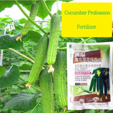 Gurken Beruf Düngemittel Special für Loofah Momordica Gourd Cantaloupe Gartenpflanze Food Förderung Wachstumskultur