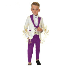 (beige/purple, 14T) Formal Boys Suits for Wedding Flower Boys Suits One Button Blazer Vest Pants for Children