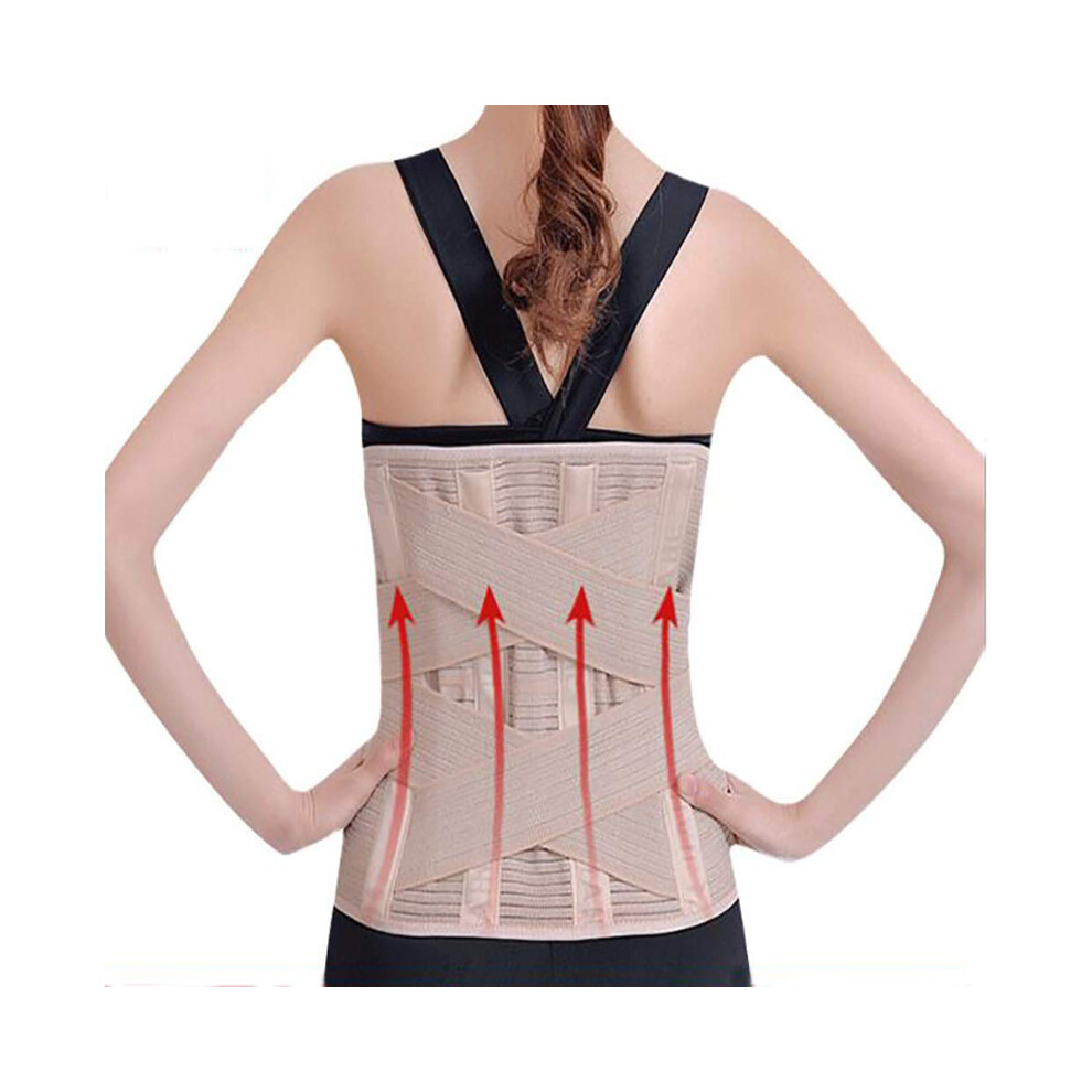 Maxpower (Xxl) Orthopedic Posture Corrector Brace Elastic Adjustable Lower Back Support