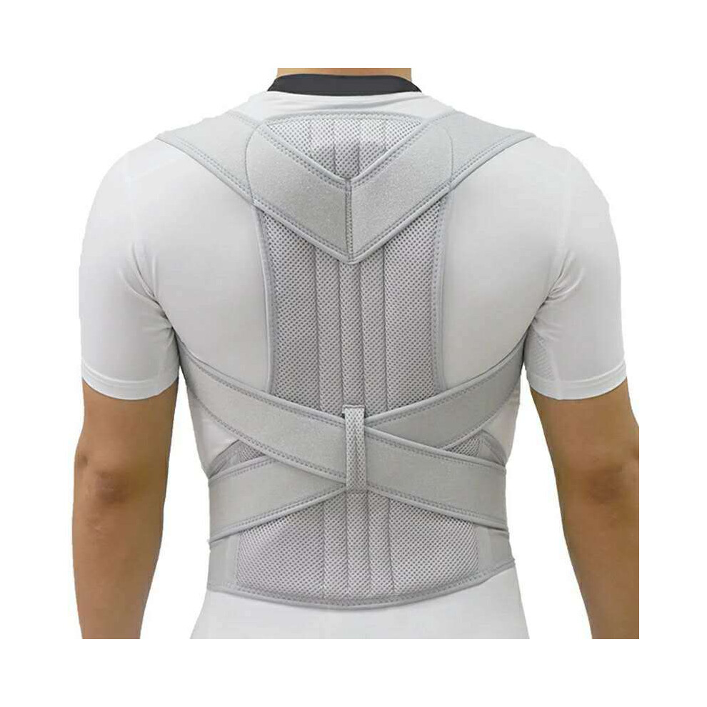 Maxpower Light/Grey (Xxxl, Grey) Back Brace For Women Men Posture Corrector Improve Posture Lumbar Support
