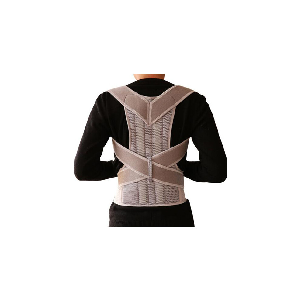 Maxpower Silver (M, ) Medical Alloy Bar Posture Corrector Neoprene Back Corset Brace Straightener
