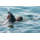 Cressi Schwimmbrille SKYLIGHT 16