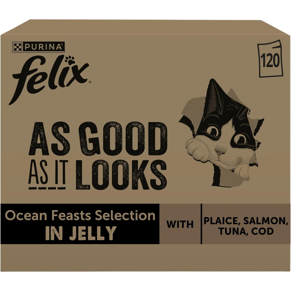 Purina Felix As Good As It Looks Ocean Feasts Wet Cat Food 120X85g Salmon
