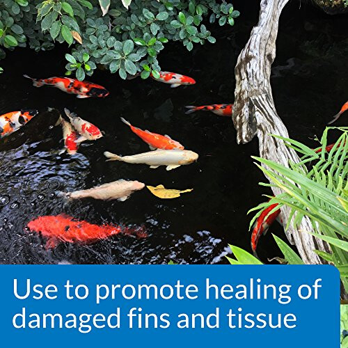 API Pond Melafix Fish Bacterial Infection Remedy, 1.89 Litre 2