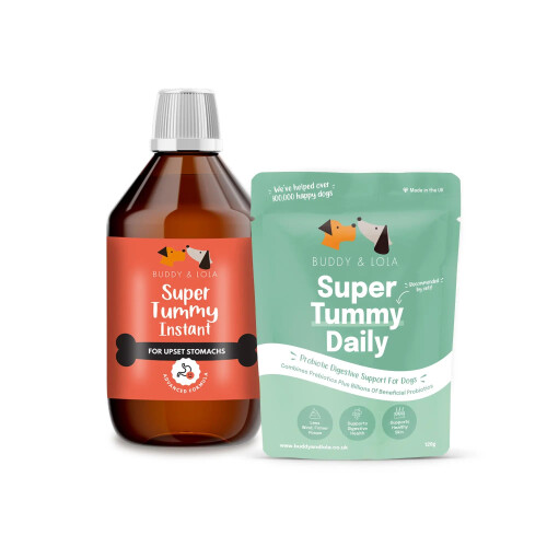 Image showcasing Buddy & Lola Digestion Bundle - Fast-Acting Dog Diarrhea Treatment with ...