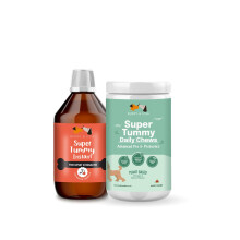 Buddy & Lola Digestion Bundle - Fast-Acting Dog Diarrhea Treatment with Electrolytes - 20 Servings - Tummy Settler For Dogs All Breeds, Sizes and Ages