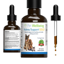 Pet Wellbeing Kidney Support Gold for Cats - Supports Healthy Kidney Function, Fluid Balance, Energy Levels, Rehmannia, Dong Quai - Veterinarian-Formu