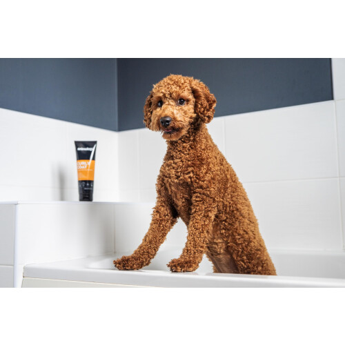 Animology Curly Coat Dog Shampoo 2.5 Litre 1