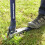 Spear & Jackson Spear & Jackson 4854WP Mechanical Weed Puller 3