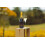 Chapel Down Brut NV (Pack of 6) 2
