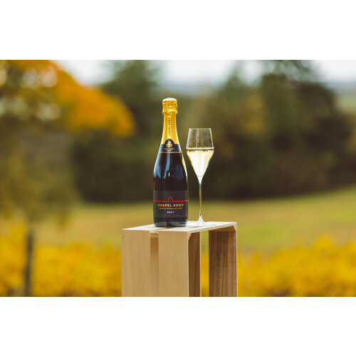 Chapel Down Brut NV (Pack of 6) 1