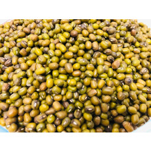 AKSOY Mung Beans - Rich in Protein & Fiber, 25KG