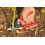 Felco FELCO Model 6 Secateurs (Medium) & Model 903 Sharpener (Diamond Steel) 3