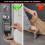 Master Lock Master Lock 5480EURD Key Safe with New Innovative Design, Shackle, Large Capacity, High Security, Grey, Extra Large 3